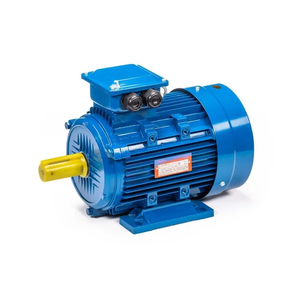Электродвигатель 5АИ 100 L6 IM1081 01.01.213619 — изображение 11