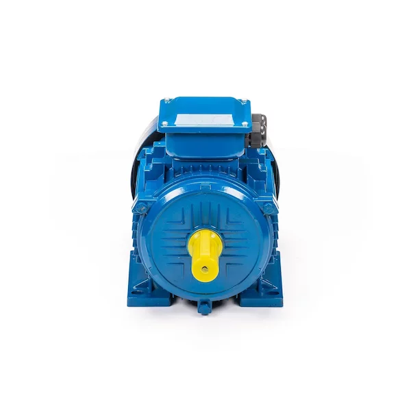 Электродвигатель 5АИ 100 L6 IM1081 01.01.213619 — изображение 3