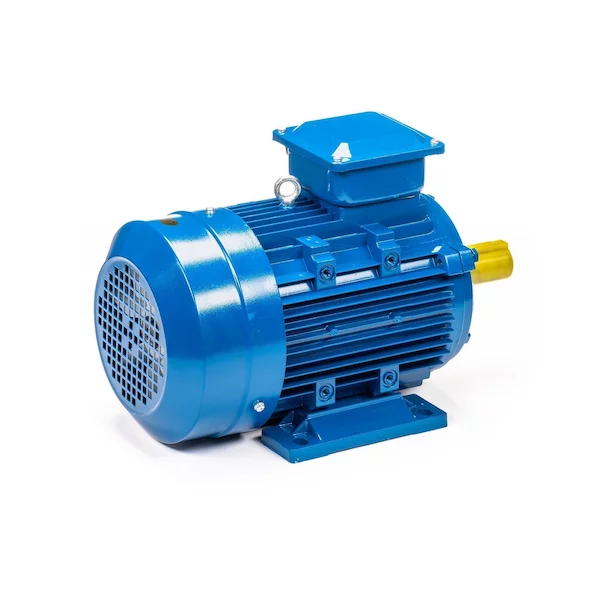 Электродвигатель 5АИ 100 L6 IM1081 01.01.213619 — изображение 5