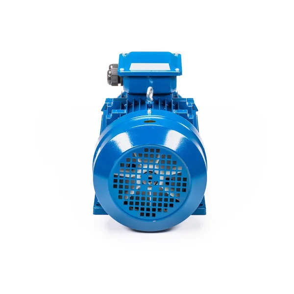 Электродвигатель 5АИ 100 L6 IM1081 01.01.213619 — изображение 7