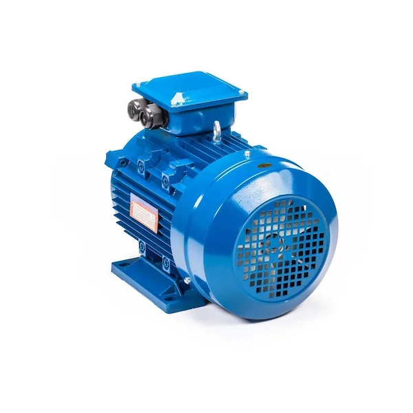 Электродвигатель 5АИ 100 L6 IM1081 01.01.213619 — изображение 8