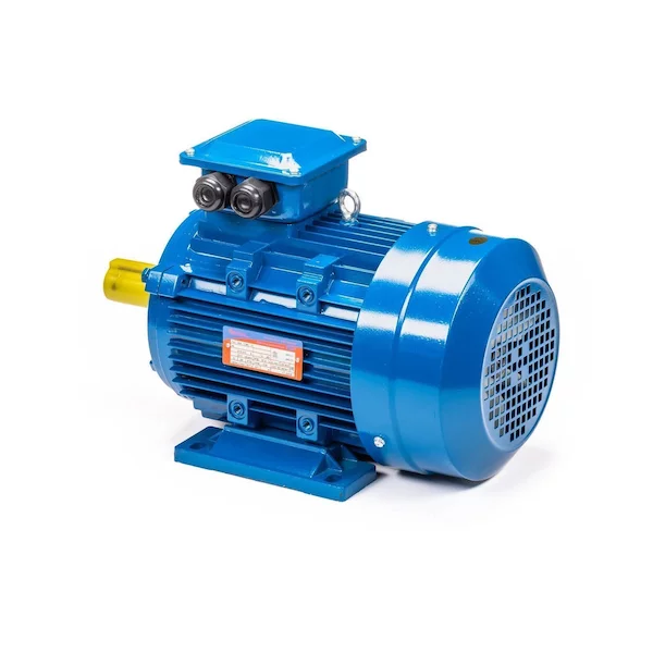 Электродвигатель 5АИ 100 L6 IM1081 01.01.213619 — изображение 9