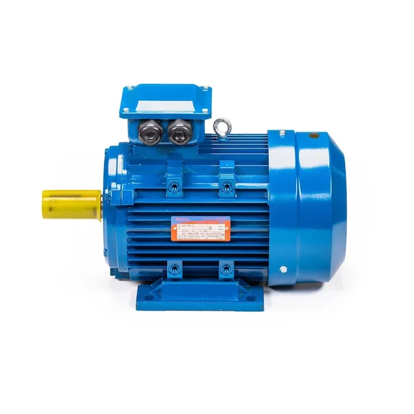 Электродвигатель 5АИ 100 L6 IM1081 01.01.213619 — изображение 10