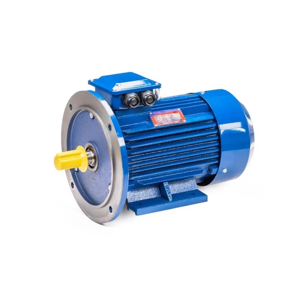 Электродвигатель 5АИ 100 L6 IM2081 01.01.213620 — изображение 11