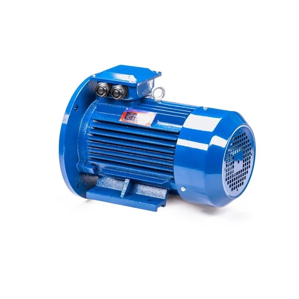Электродвигатель 5АИ 100 L6 IM2081 01.01.213620 — изображение 9
