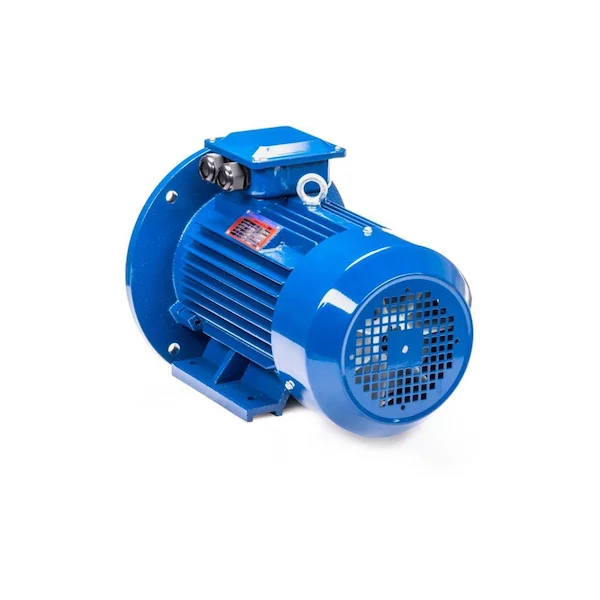 Электродвигатель 5АИ 100 L2 IM2081 01.01.213678 — изображение 8
