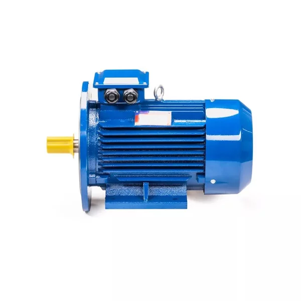 Электродвигатель 5АИ 100 L2 IM2081 01.01.213678 — изображение 10