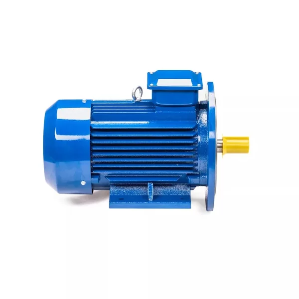 Электродвигатель 5АИ 100 L4 IM2081 01.01.213681 — изображение 4