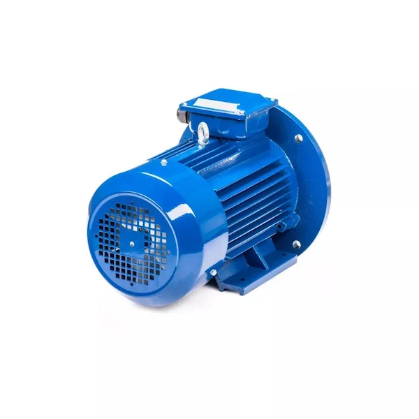 Электродвигатель 5АИ 100 L4 IM2081 01.01.213681 — изображение 6