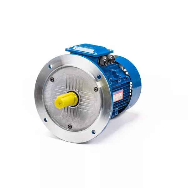 Электродвигатель 5АИ 100 L4 IM3081 01.01.213682 — изображение 12