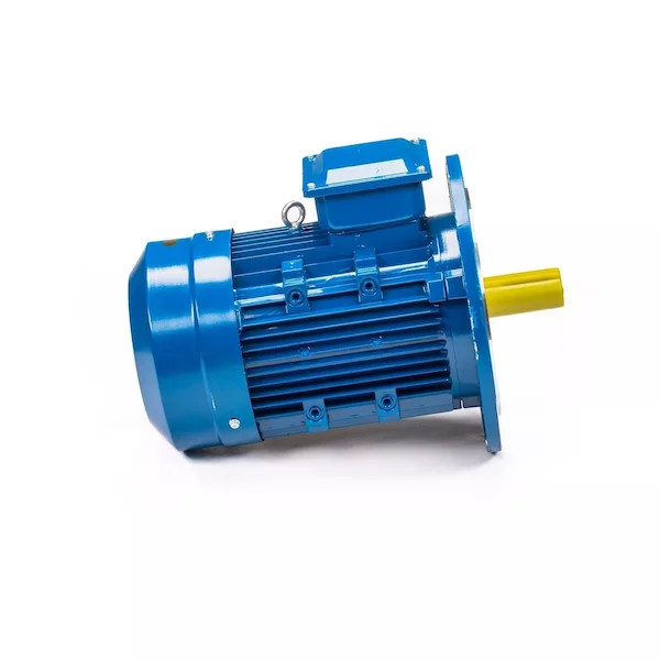 Электродвигатель 5АИ 100 L4 IM3081 01.01.213682 — изображение 4