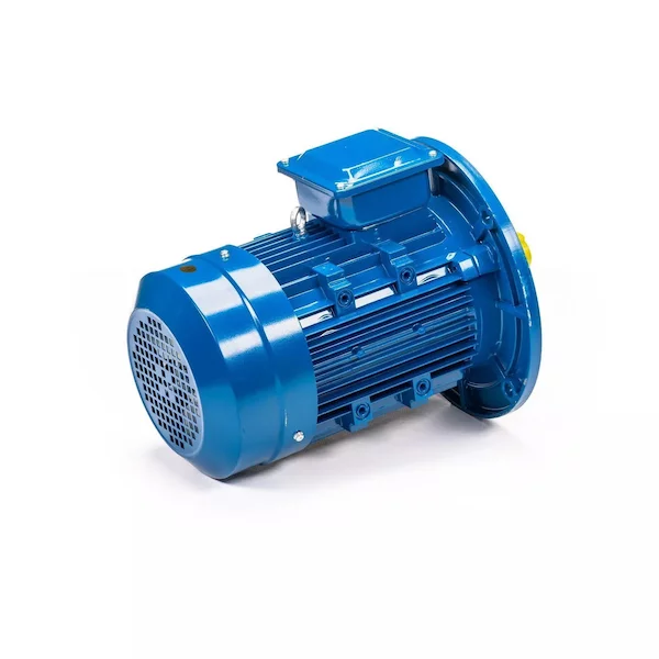 Электродвигатель 5АИ 100 L4 IM3081 01.01.213682 — изображение 5