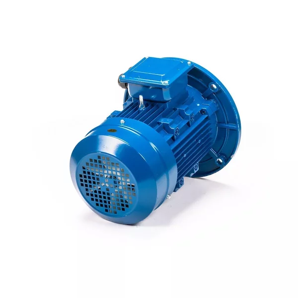 Электродвигатель 5АИ 100 L4 IM3081 01.01.213682 — изображение 6