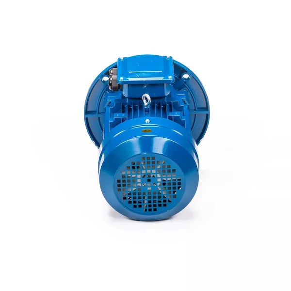 Электродвигатель 5АИ 100 L4 IM3081 01.01.213682 — изображение 7