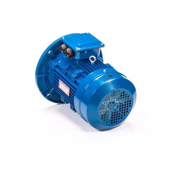 Электродвигатель 5АИ 100 L4 IM3081 01.01.213682 — изображение 8