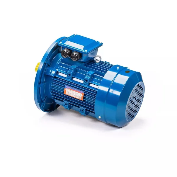 Электродвигатель 5АИ 100 L4 IM3081 01.01.213682 — изображение 9