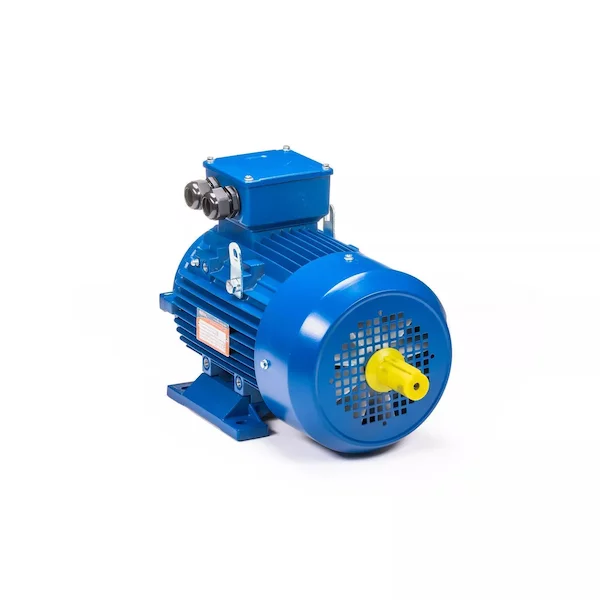 Электродвигатель 5АИ 100 L6 IM1082 01.01.223110 — изображение 2