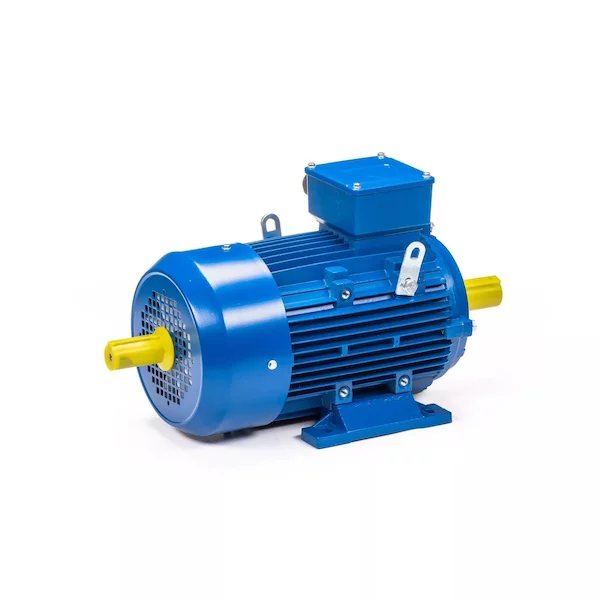 Электродвигатель 5АИ 100 L6 IM1082 01.01.223110 — изображение 11