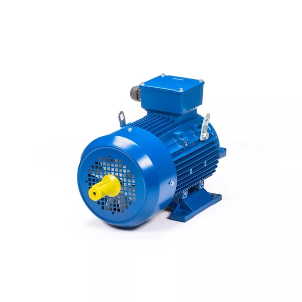 Электродвигатель 5АИ 100 L6 IM1082 01.01.223110 — изображение 12