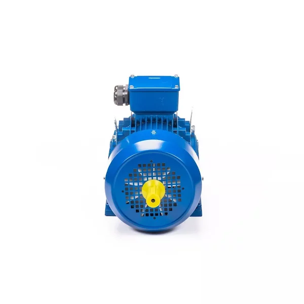 Электродвигатель 5АИ 100 L6 IM1082 01.01.223110 — изображение 3