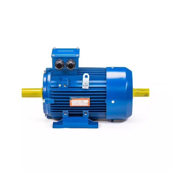 Электродвигатель 5АИ 100 L6 IM1082 01.01.223110 — изображение 4