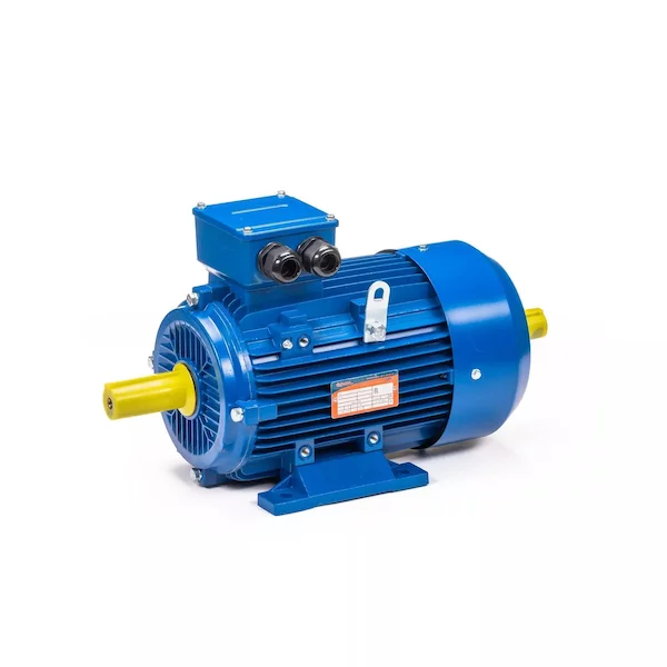 Электродвигатель 5АИ 100 L6 IM1082 01.01.223110 — изображение 5
