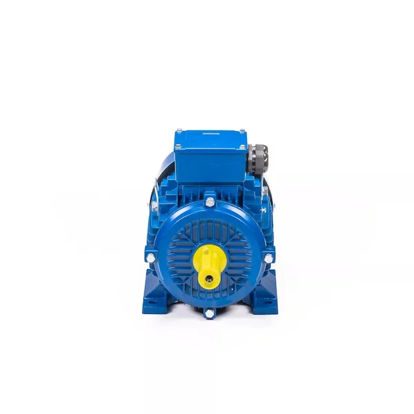 Электродвигатель 5АИ 100 L6 IM1082 01.01.223110 — изображение 7