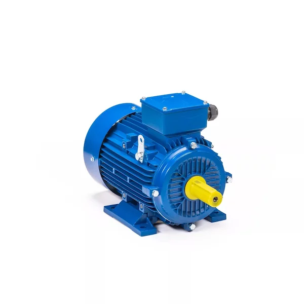 Электродвигатель 5АИ 100 L6 IM1082 01.01.223110 — изображение 8