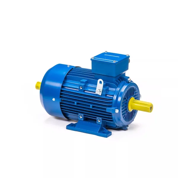 Электродвигатель 5АИ 100 L6 IM1082 01.01.223110 — изображение 9