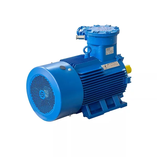 Электродвигатель АИМУ 200 L6 IM1001 01.02.02.003632 — изображение 2